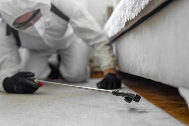 Professional Bed Bug Control technician working in Bloomville, OH