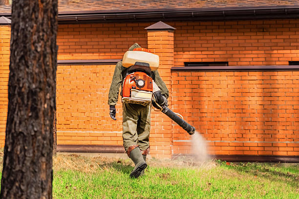Top rated local Bed Bug Control specialists in Bloomville, OH